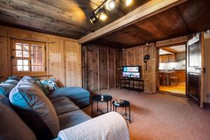 a living room with a couch and a tv at Ferienhaus Chalet Oberdorf in Brienz