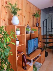 sala de estar con TV en una estantería de madera en Estancia de Ensueño y Relax Parking Gratuito en Granada