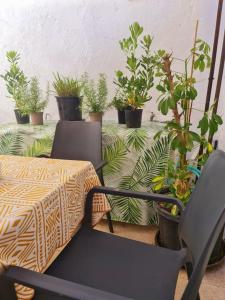 Habitación con mesa, sillas y macetas. en Estancia de Ensueño y Relax Parking Gratuito en Granada