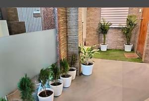 a row of potted plants sitting on a patio at HOTEL DAISY in Guwahati