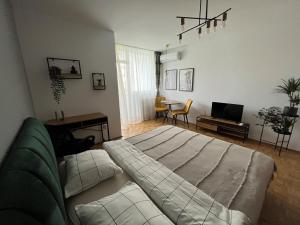 - un salon avec un lit et un canapé dans l'établissement C & A apartments, à Cluj-Napoca