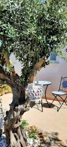 Zahrada ubytování La casetta degli ulivi