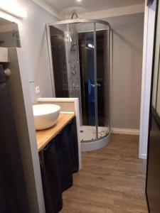 een badkamer met een wastafel en een glazen douche bij La Grelauderie 4 in Saintes