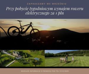 ストロニエ・シロンスキエにあるGościniec Janowa Góraの自転車と人と馬の絵