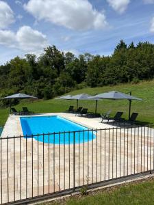 a swimming pool with chairs and umbrellas at Château des Loups - Les Cèdres Bleus in Échiré