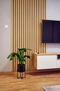 uma sala de estar com um vaso de plantas em frente a uma tv em ApartFonte - Mickiewicza 2A - garaż podziemny em Polanica-Zdrój