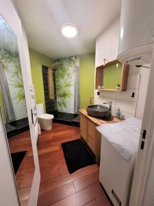 uma cozinha com um lavatório e uma bancada em Nid douillet plein de charme avec Parking gratuit em Chantilly