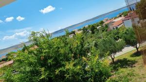 a view of a tree and the water at Art room JASMINA with sea view - Bikers and pets are welcome in Starigrad-Paklenica
