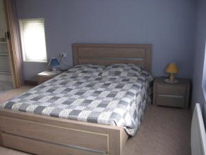 ブレレにあるMaison en Touraineのベッドルーム1室(チェック入りの毛布付きのベッド1台付)