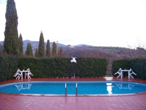 a swimming pool in a yard with a hedge at Il Casolare Di Leonardo in Vinci