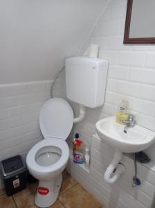 La salle de bains est pourvue de toilettes et d'un lavabo. dans l'établissement Koliba Joca, à Lepterija