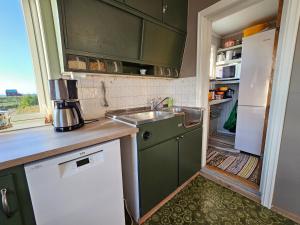 a kitchen with green cabinets and a sink and a refrigerator at Hos Laura & Valdemar in Nord-Lenangen