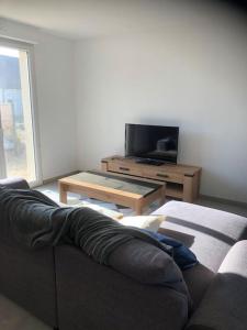 a living room with a couch and a tv at Maison les coquelicots in Garennes-sur-Eure