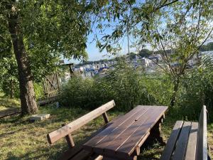un banco de madera sentado bajo un árbol en un parque en Vimaria en Kolonie Zern