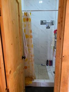 ein Bad mit Dusche und Duschvorhang in der Unterkunft Bulak in Tar-Suu