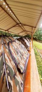 a group of pillows sitting under a roof at KINGS RESORT DANDELI in Dandeli