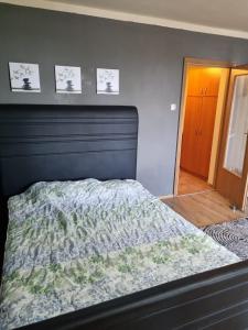 a bedroom with a bed with a headboard and pictures on the wall at Oscar's Central Apartment in Timişoara +9 photos
