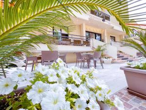 a bunch of white flowers in front of a building at Ambra Hotel Cattolica in Cattolica