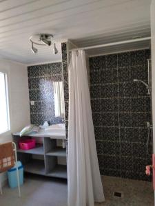 a bathroom with a shower and a sink at Amarante des Landes 