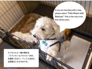 a white dog sitting in a cage with a thought bubble at エンズ　マリーナ　イン　マシキ　コンド・ホテルズ in Ginowan