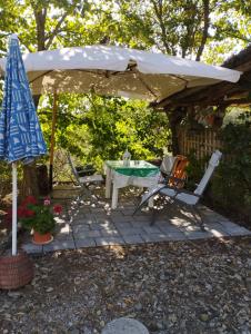 Zahrada ubytování Casa Renacci