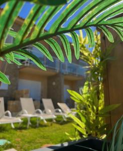 un groupe de chaises et de plantes dans un bâtiment dans l'établissement Hôtel Lilium Maris, à Tizzano