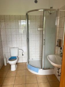 a bathroom with a shower and a toilet and a sink at Ośrodek konferencyjno-wypoczynkowy in Chojna