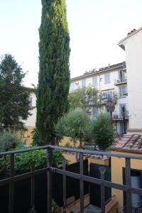 widok z balkonu budynku z dużym drzewem w obiekcie Annetta's House we Florencji