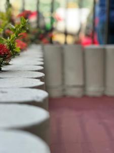 a row of white benches with flowers on them at Hotel Pousada Villa Marina in Fortaleza