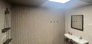 een badkamer met een wastafel en een spiegel bij Worker hotel ALEJPARKS in Valmiera