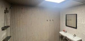a bathroom with a sink and a mirror at Worker hotel ALEJPARKS in Valmiera