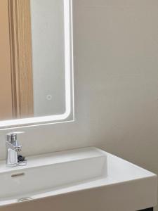a bathroom with a white sink and a mirror at Apartamentos Lidar in Bilbao