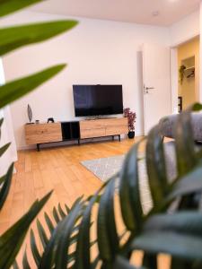 sala de estar con TV de pantalla plana en Best Bodensee FeWo, en Friedrichshafen