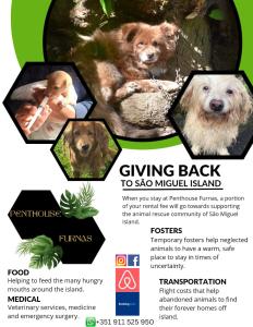a flyer for a giving back to a koala hospital with three dogs at Penthouse Furnas in Furnas