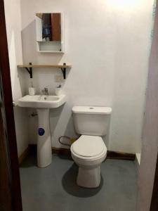 a bathroom with a white toilet and a sink at Cabaña Puerto Carrillo (Santa Marta) in Hojancha