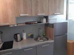 małą kuchnię ze zlewem i lodówką w obiekcie Apartment L w Trogirze