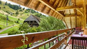 Příroda nedaleko apartmánu