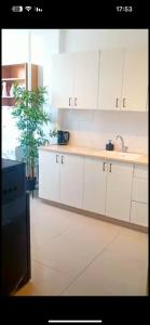a kitchen with white cabinets and a potted plant at Vacation in the heart of the city netanya in Netanya