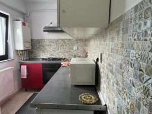 een keuken met een aanrecht met een magnetron bij Semnului Apartament in Iaşi