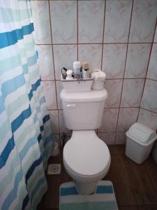 a bathroom with a toilet and a shower curtain at Cabaña y Depto Puclaro in Vicuña