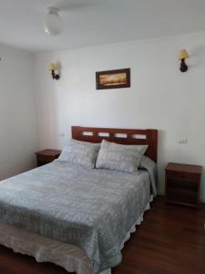 1 dormitorio con 1 cama y 2 mesitas de noche en Cabaña y Depto Puclaro, en Vicuña