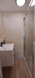 La salle de bains est pourvue d'un lavabo et d'une douche. dans l'établissement Appartement Douillet, à Saint-Maixent-lʼÉcole