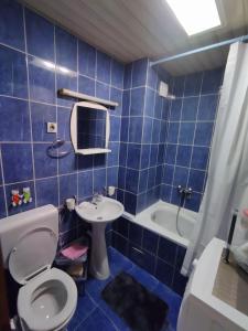 ein blau gefliestes Bad mit WC und Waschbecken in der Unterkunft "Astor" Apartment in Podgorica