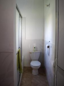 a white bathroom with a toilet and a shower at Kokojo Villa in Black River