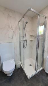 ein Bad mit einer Dusche und einem WC in der Unterkunft Haus Habit in Schruns-Tschagguns