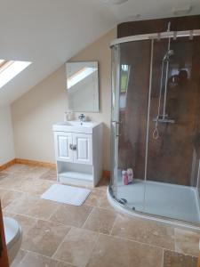 uma casa de banho com um chuveiro e um lavatório. em Urkers' Guest Accommodation em Crossmaglen