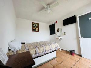 聖胡安河的住宿－Hotel Villa 12，一间卧室配有一张床和吊扇