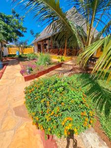 un jardín con flores frente a una casa en Mimi na wewe villa, en Nungwi