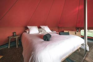 a black cat sitting on a bed in a tent at Les Toiles du Cassis 