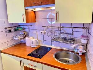 Η κουζίνα ή μικρή κουζίνα στο Studio Gallery 29 +25 φωτογραφίες